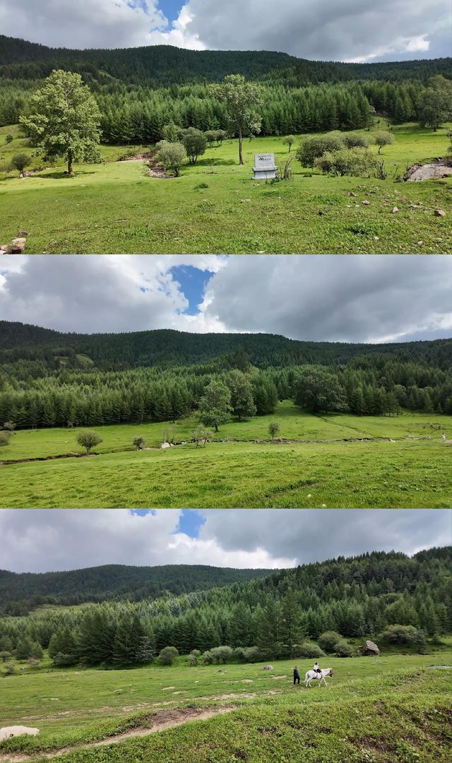 一定要去山西忻州古城走一走