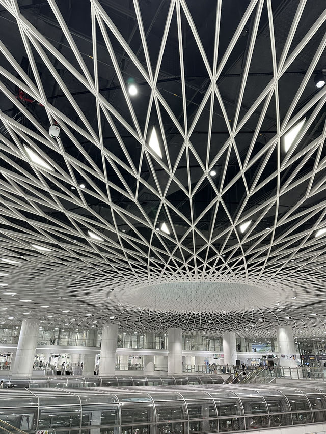 7-Day Shenzhen Itinerary: A Perfect Mix of Culture, Fun, and Modernity