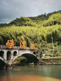 泰順 漂流 廊橋