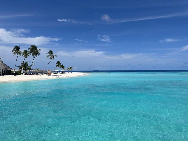 A Dreamy Island Getaway A Dreamy Island Getaway