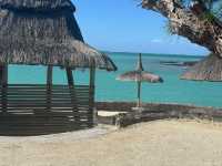 Paradise Cove: A Return Visit to Perfection