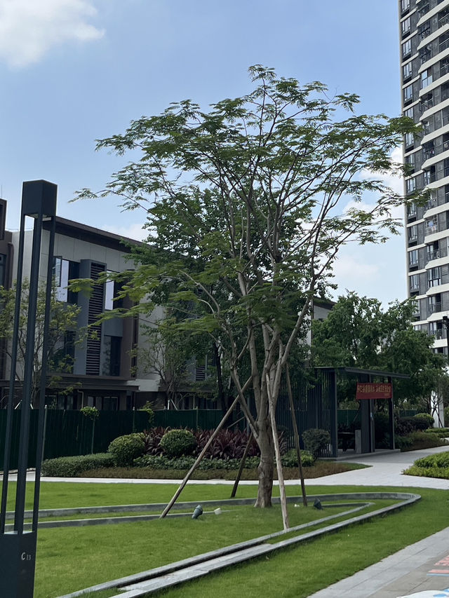 Ronggui Park: A Hidden Oasis of Peace in the City 🌿🍃 Ronggui Park: A Hidden Oasis of Peace in the City 🌿🍃