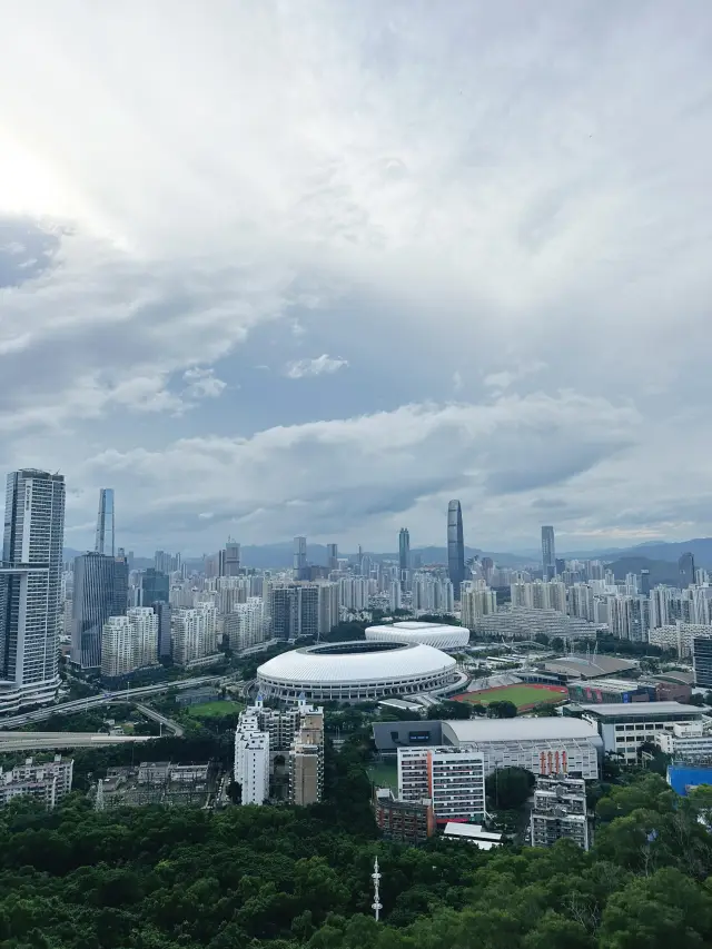 Morning Escape at Bijiashan Park, Shenzhen