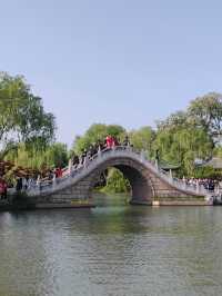 同里冷門拍照點|耕樂堂荷池:明老宅裡的夏意