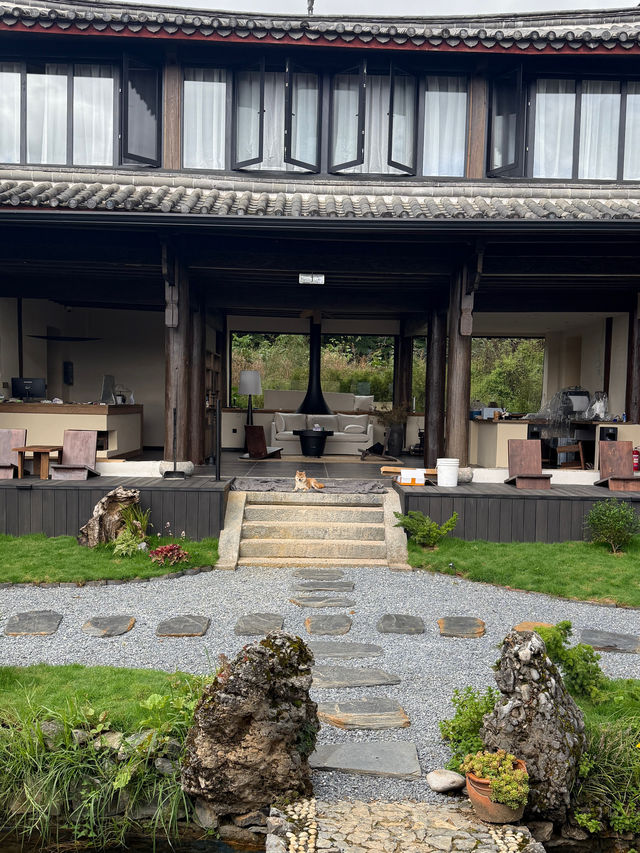 麗江玉龍雪山下的有風小院