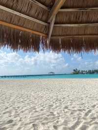 Unforgettable Vacation at Villa Park