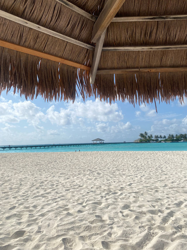 Unforgettable Vacation at Villa Park