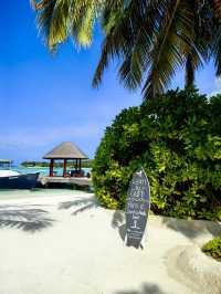 Returning Delight at Anantara Dhigu Maldives