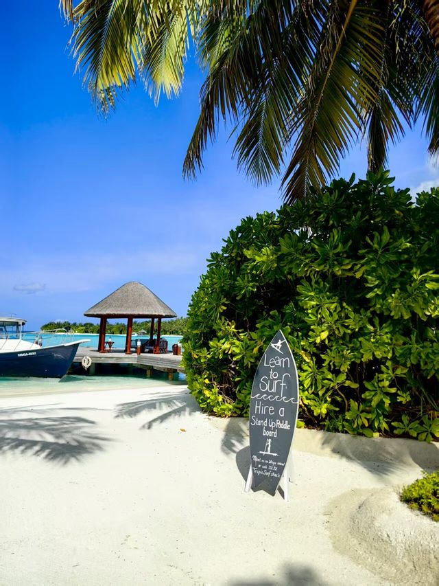 Returning Delight at Anantara Dhigu Maldives