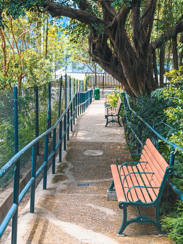 香港小眾打卡｜香港訊號山花園
