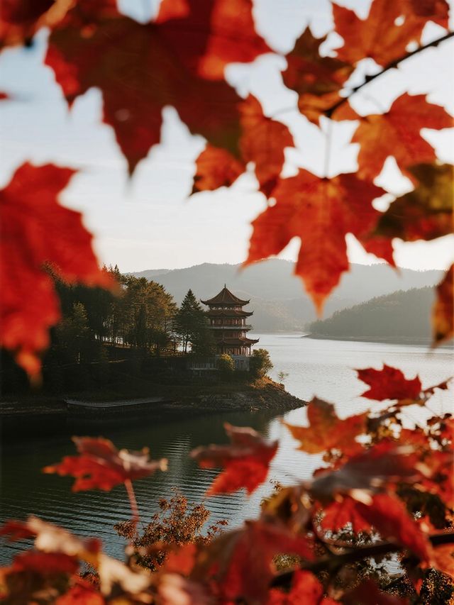 被《國家地理》評為中國最美地方之一，茂蘭的秋日秘境​