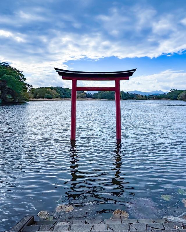 日本九州秘境｜宇佐神宮·三角池的千年神蹟