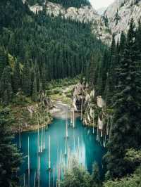 漫步哈薩克斯坦｜被這片絕美森林湖泊治癒了