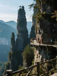 反向旅行爽呆！德夯大峽谷這個觀景台，看全景人超少