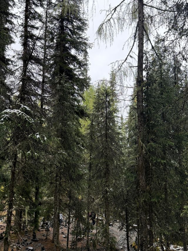 四姑娘山驚艷秋色