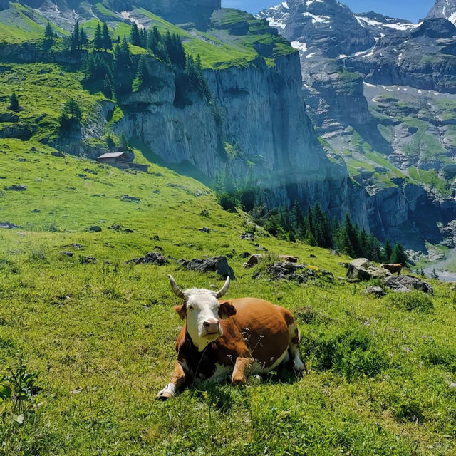🇨🇭스위스에서 꼭 가봐야 할 호수! 에메랄드 빛 외시넨 호수의 마법✨