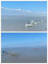 上海蓋章·一尺花園定海神針店