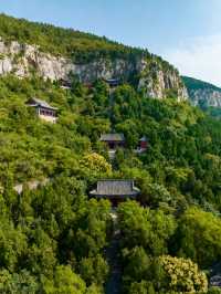 菏澤3日遊 | 牡丹園與水滸城經典組合・全人群適配攻略