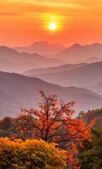 崆峒山秋日童話丨一眼驚豔的紅葉打卡攻略