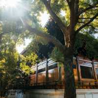 ๐์ํ์ด์ ํ ๋น๋๋ผ ํ ์ ์, ๊ฐ์์ ์๋ฒฝํ ์ ์ทจ ๐ฏ