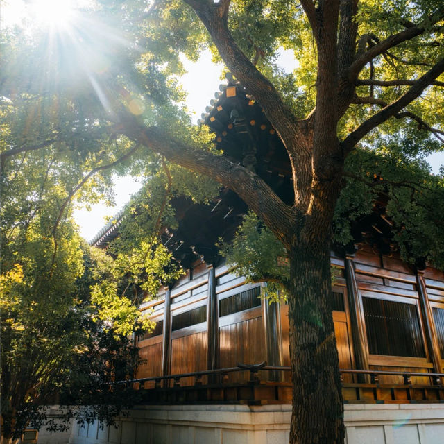 ๐์ํ์ด์ ํ ๋น๋๋ผ ํ ์ ์, ๊ฐ์์ ์๋ฒฝํ ์ ์ทจ ๐ฏ ๐์ํ์ด์ ํ ๋น๋๋ผ ํ ์ ์, ๊ฐ์์ ์๋ฒฝํ ์ ์ทจ ๐ฏ