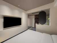 11月7日南雄帽子峰銀杏葉實拍