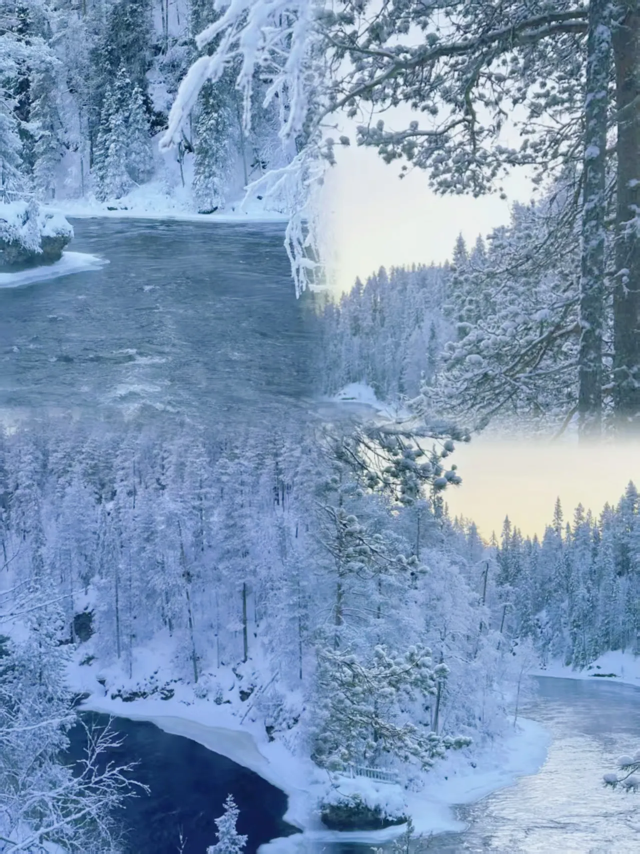 After five days in Finland, my outlook on life collapsed