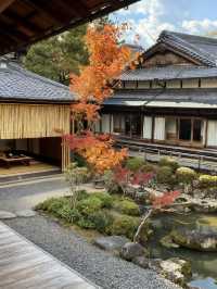 關西5日遊保姆攻略，玩轉三城不踩雷！