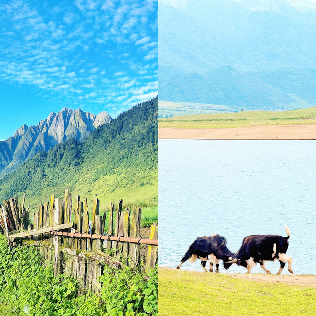 賽里木湖未訪,誠為人生憾事 賽里木湖未訪,誠為人生憾事