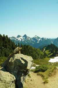 西雅圖兩日遊暴走指南