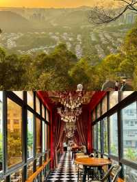 深圳0元寶藏玩法｜免費打卡山海、公園與文藝角落，拍照出片不重