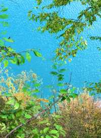 在神仙居住的地方彩林徒步撿菌子🟫 神木壘藏語裡意為「神仙玩耍的地方」 這裡海拔2300-4