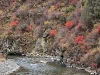 11月和12月西藏旅遊最佳的季節之一|||因為一直特別忙，