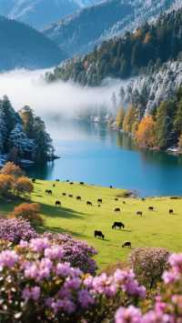 普達措一日窮遊500