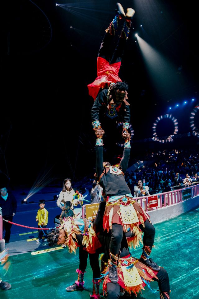 宿遷森迪隱藏彩蛋!大馬戲終點才是快樂暴擊 宿遷森迪隱藏彩蛋!大馬戲終點才是快樂暴擊