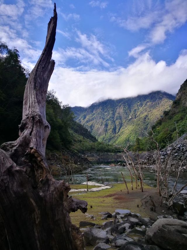 五彩斑斕的海子仙境阿壩松坪溝自駕攻略