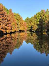 尊嘟紅了本週末就衝明孝陵燕雀湖