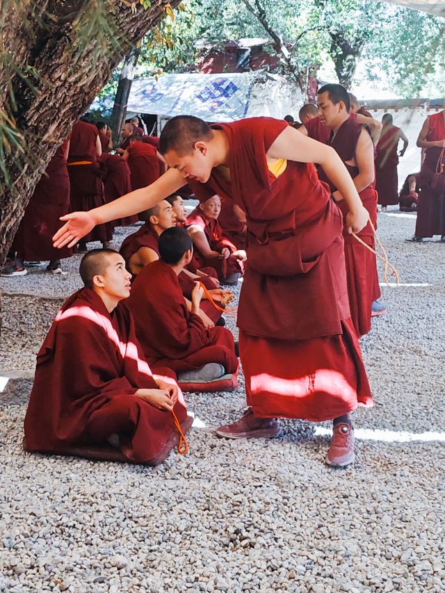 拉薩午後必衝色拉寺的辯經和日落 拉薩午後必衝色拉寺的辯經和日落