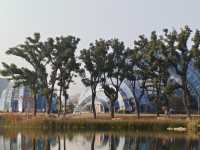 魔都植物園必看攻略櫻花季省時省力玩法