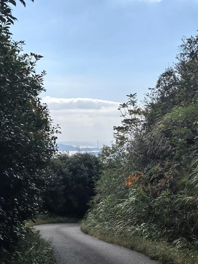 寧波徒步 | 山海徑，烽火台，風車路