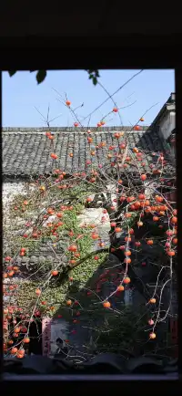 杭州出發|第 站黃山腳下週末兩日賞秋景