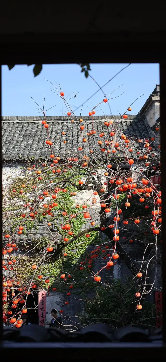 杭州出發|第 站黃山腳下週末兩日賞秋景 杭州出發|第 站黃山腳下週末兩日賞秋景