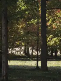 鹽城｜江蘇肯尼亞名不虛傳