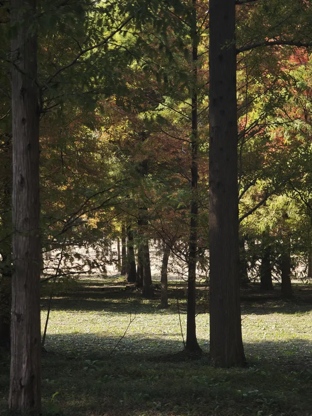 鹽城｜江蘇肯尼亞名不虛傳