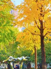 上海的秋日藝術巡禮