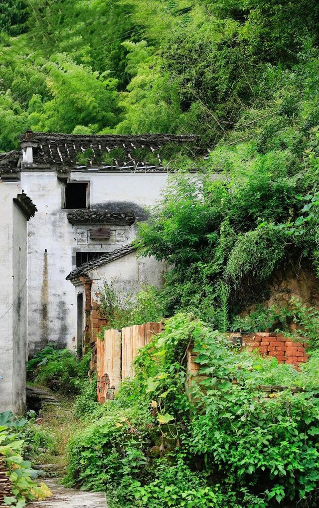 歙縣霞坑鎮察坑村：藏在皖南山水間的千年詩意
