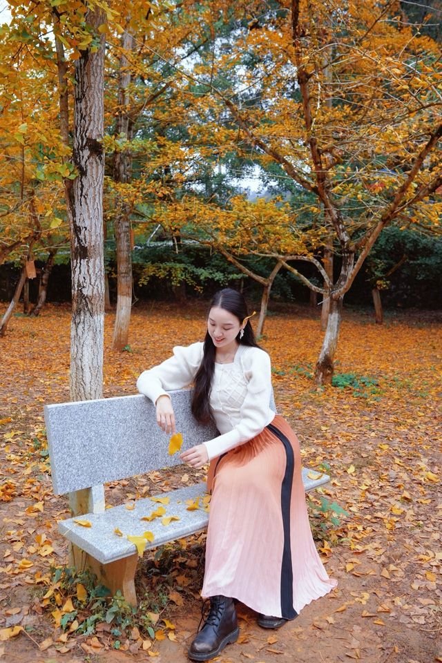 接下來這將是廣東賞秋天花板……