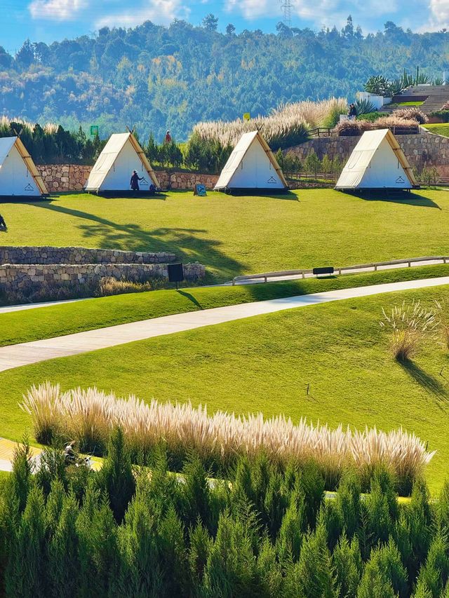 11.26實況!大理最美雪山機位被我找到啦 11.26實況!大理最美雪山機位被我找到啦