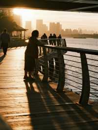 深圳親子紅樹林全攻略！帶娃解鎖5大濕地，觀鳥+日落+騎行