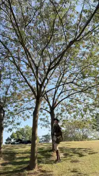 這裡不是瑞士！這裡是千島湖植物園